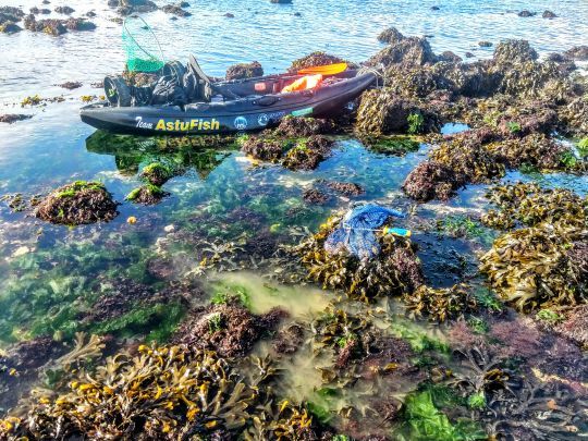 Une sortie en kayak sur l'estran