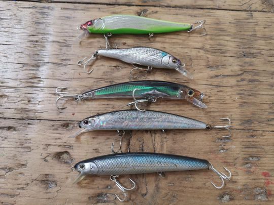 Les minnows fonctionnent parfaitement en linéaire pour la pêche du bar