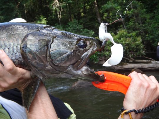 Dans les endroits encombrés vous devez prévoir du matériel en consequence.