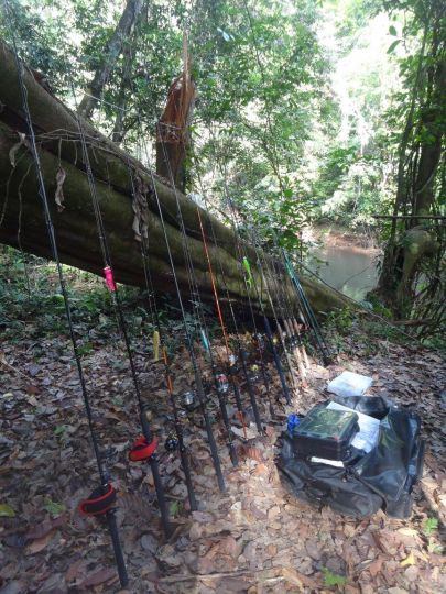 Prévoyez des ensembles complémentaires et une canne de secours.
