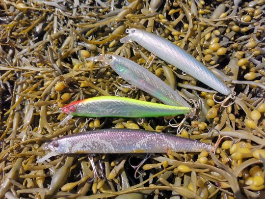 Différents poissons nageurs pour le bar de taille et sonorité différentes.