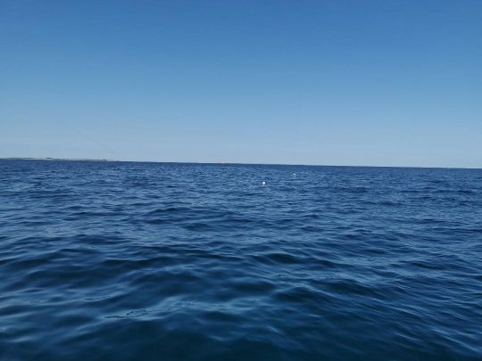 En fonction de la profondeur de pêche, placez vos lignes à différentes distances du bateau.