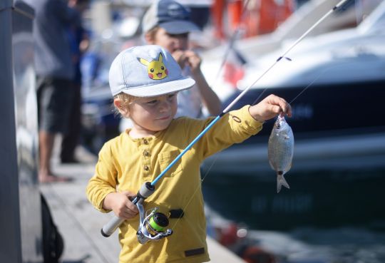 Oblade prise en rockfishing dans un port.