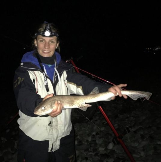 Une roussette pêchée en surfcasting au Pays de Galles.