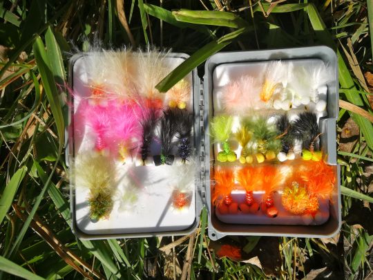 L'importance de pouvoir varier couleurs et tailles des boobies