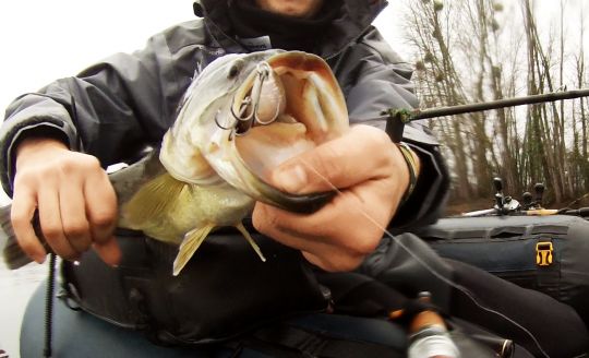 Vous avez parlé de touche de qualité ?