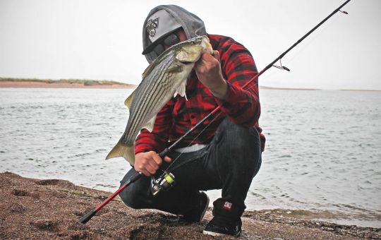 Canne Hearty-rise bass force II + moulinet shimano stella 3000FE