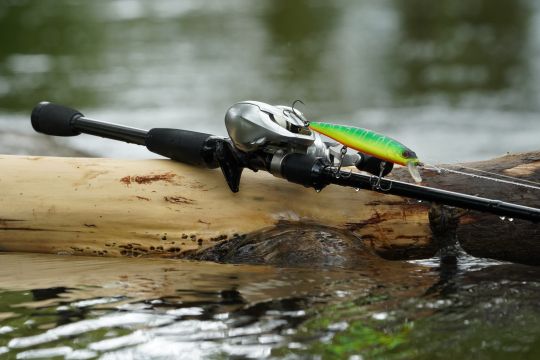 Une casting type MH de 2m d'action Extra Fast est idéale pour la pêche aux jerkbait minnows. ©Thierry Lecouple