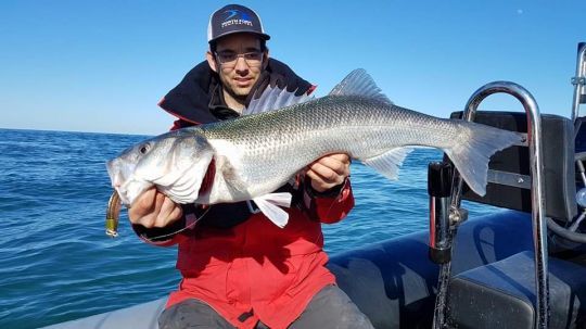 Avec ce fort courant, la pêche au shad est reine. Optez pour une canne suffisamment longue et puissante pour pêcher avec des ensembles de 50 grammes.