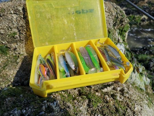 Pensez à posséder différents coloris dans votre boîte de leurres.