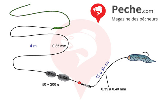 Montage pour le turbot au maquereau