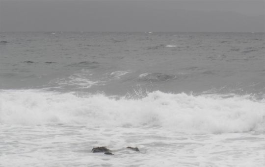 Une pêche dans l'écume