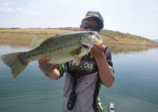 Un joli black-bass d'Extremadura