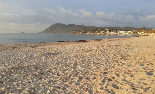 Sur les plages de sable