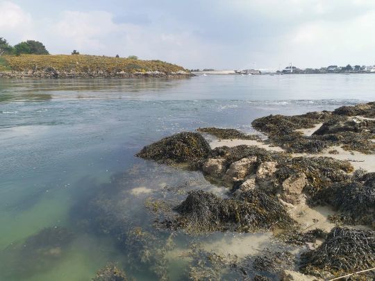 Le relief de la berge créé des repères que les poissons suivent lors de leurs déplacements.