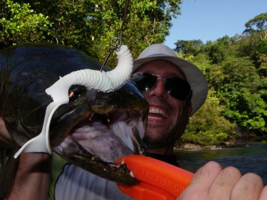 Pour réussir à l'aimara il faut être capable de lancer son leurre sous les frondaisons. Autant dire que les "bassistes" sont plutôt à l'aise !