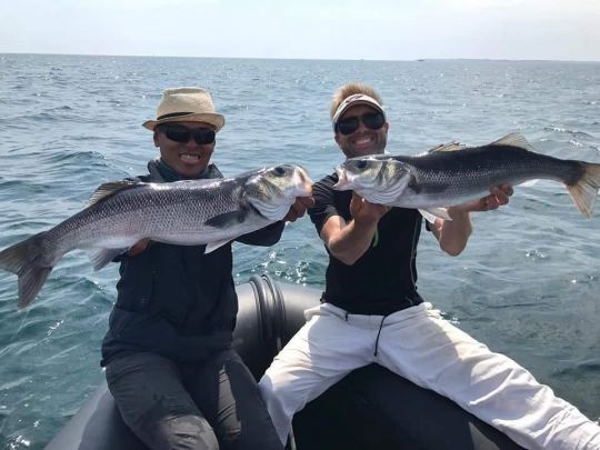 Ce que l'on apprend dans la pêche du sandre s'avère souvent bien utile lorsque l'on découvre le bar. La conduite de ligne étant un élément capital !
