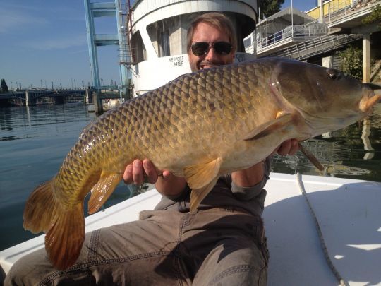 Les montages et analyses des spots en eau douce pour la carpe peuvent être réinvestis en mer pour la dorade royale.