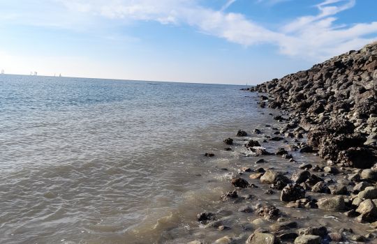 Un poste pour pêcher les merlans