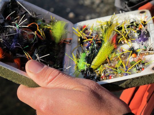 Une sélection de mouche