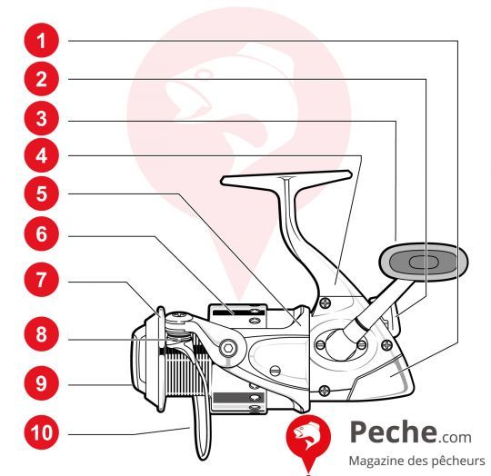 Anatomie du moulinet spinning