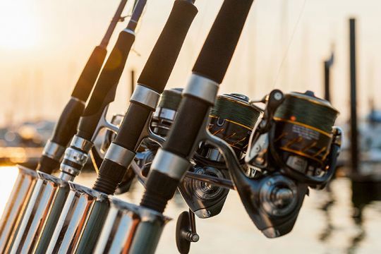 La taille 3000 est la plus utilisée