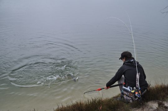 En compétition, il faut que la ligne soit parfaitement adapté à la technique et au poisson en présence