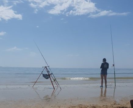 Pesca dell'aguglia con il surfcasting, una pesca estiva divertente ed  efficace