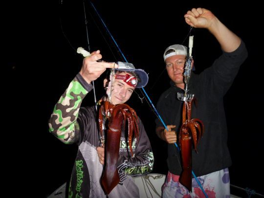 Doublé de calamar rouge