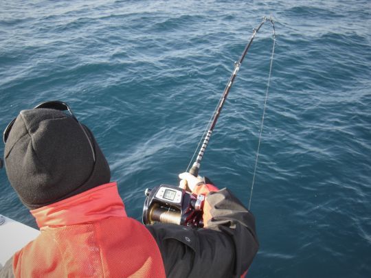Toute l'année sur des grandes profondeurs