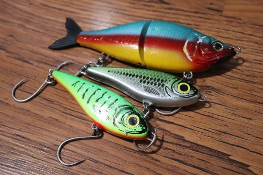 Les jerkbait sont efficaces pour pêcher le peacock bass en Colombie.