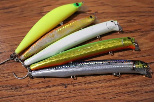 Le jerkbait minnow est un leurre polyvalent pour pêcher toutes les espèces de peacock bass.