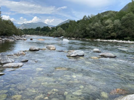 Le type de spot sur lequel se pêchent les Marmorata en été 