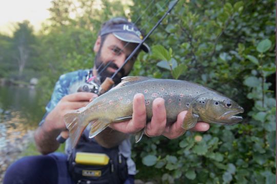 Un joli poisson qui aura procuré beaucoup de sensation sur un ensemble casting léger