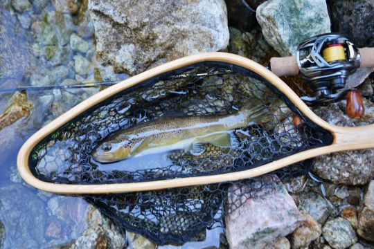 Une pratique technique et pertinente en torrent