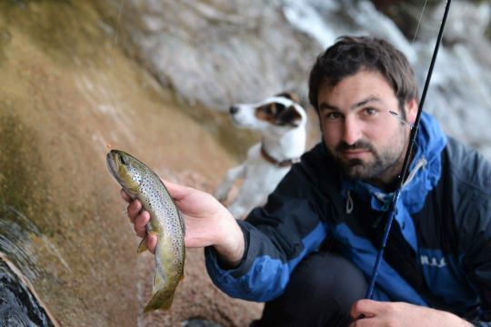 Belle truite de torrent capturée sur une imitation de teigne animée avec une canne UL