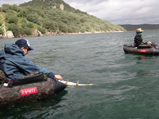 Faire découvrir les nouvelles techniques