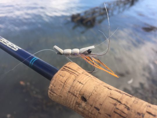 Une imitation de crevette flottante ou pop-shrimp peut séduire de jolis bars