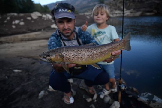 Le scion plein de Stream Master Trut Opportunist d'Illex permet de pêcher parfaitement avec de petits leurres et de combattre de gros poissons!