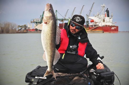 pesce walleye