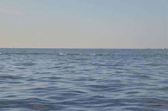 Pêcher la thonine sur les chasses