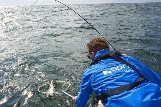 Un long bas de ligne assure davantage de touches