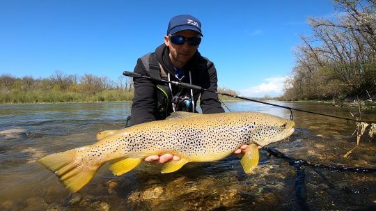 Pêche de la truite en rivière