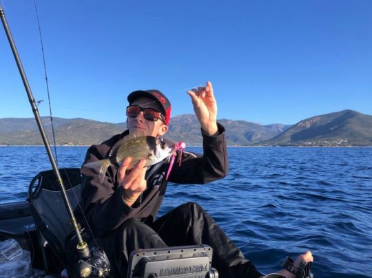 Une canne avec une bonne réserve de puissance