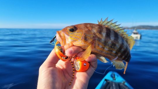 Déterminer le bon grammage du bayrubber