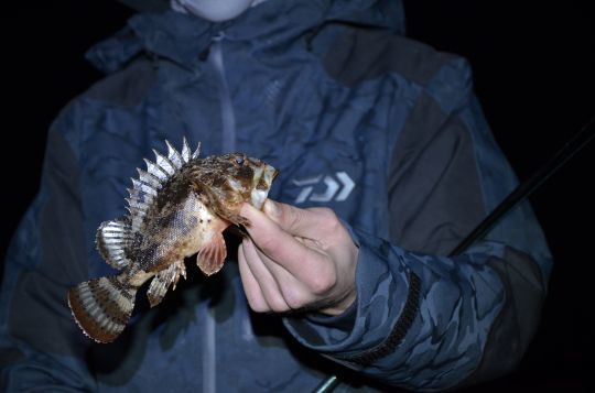 Le rockfishing, une technique appropriée