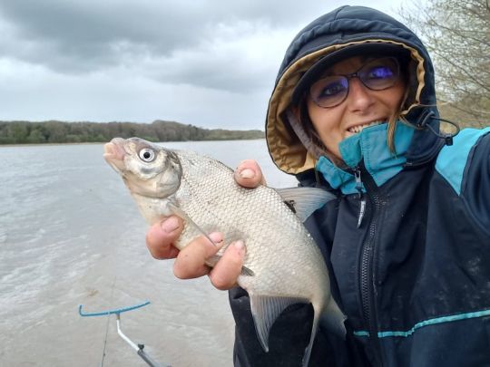 une variété de poisson