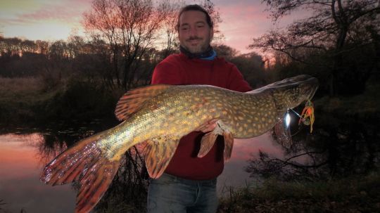 Bien souvent la végétation prolifère davanatge à l'intérieur du virage. C'est souvent  un bon spot pour la pêche du brochet !