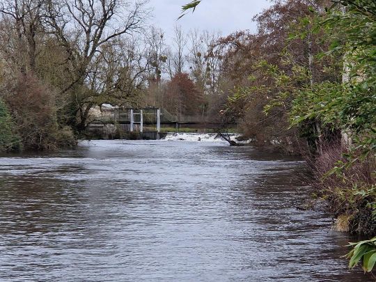 Le sbarrages et déversoirs sont des zones sur la rivière où les courants sont importants. Cela a une influence positive sur la présence des poissons.