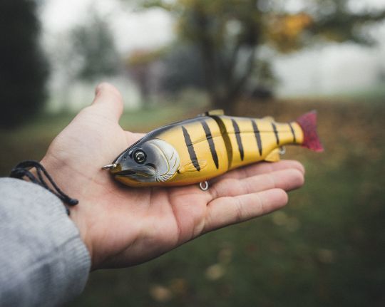 Un leurre dit glide bait avec une seule articulation